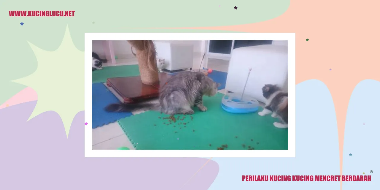 Gambar Kucing Mencret Berdarah