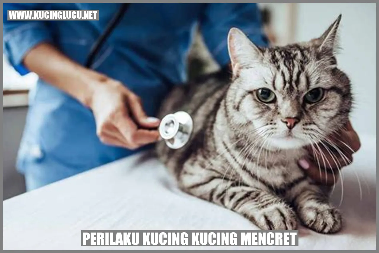 gambar perilaku kucing ketika mengalami masalah pencernaan