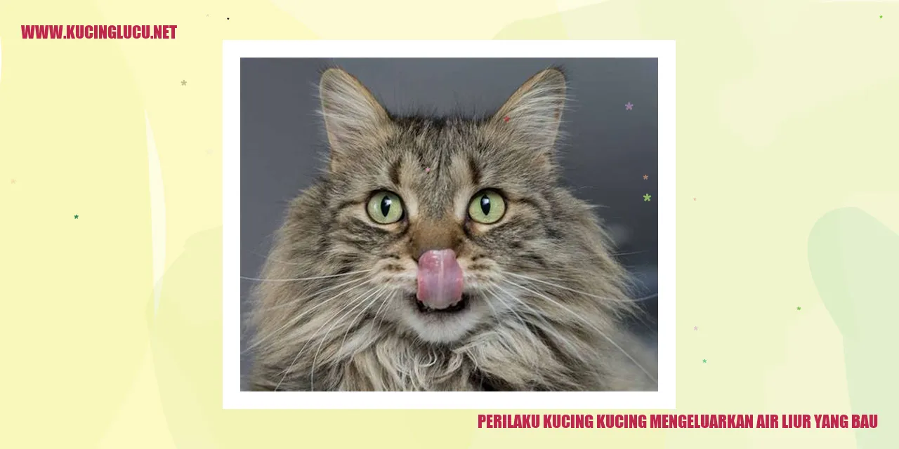 Kucing Mengeluarkan Air Liur yang Bau
