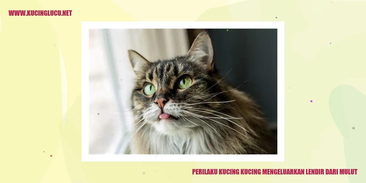 Kucing mengeluarkan lendir dari mulut
