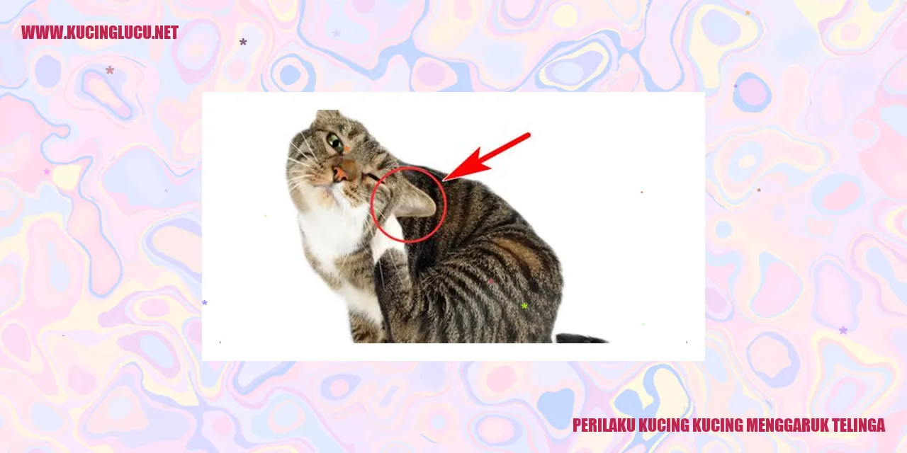 Kucing menggaruk telinga