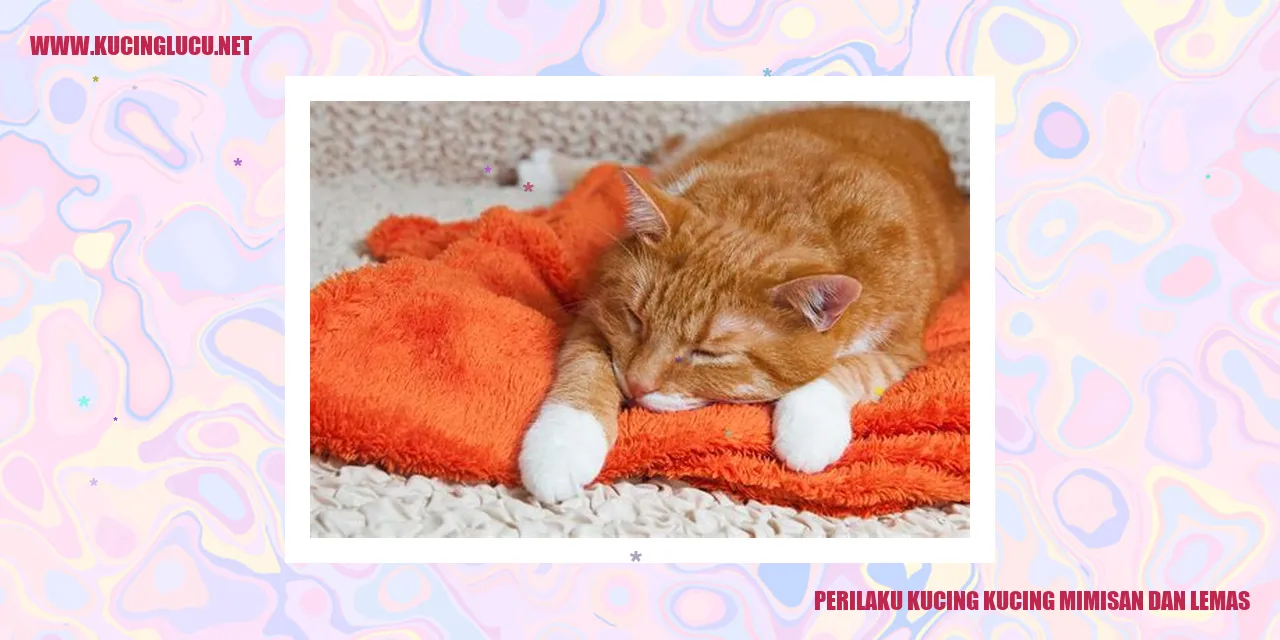 Kucing mengalami mimisan dan terlihat lemas