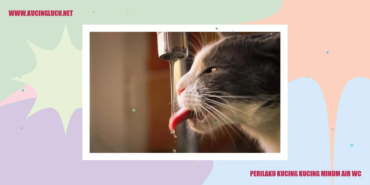 Kucing Minum Air Toilet