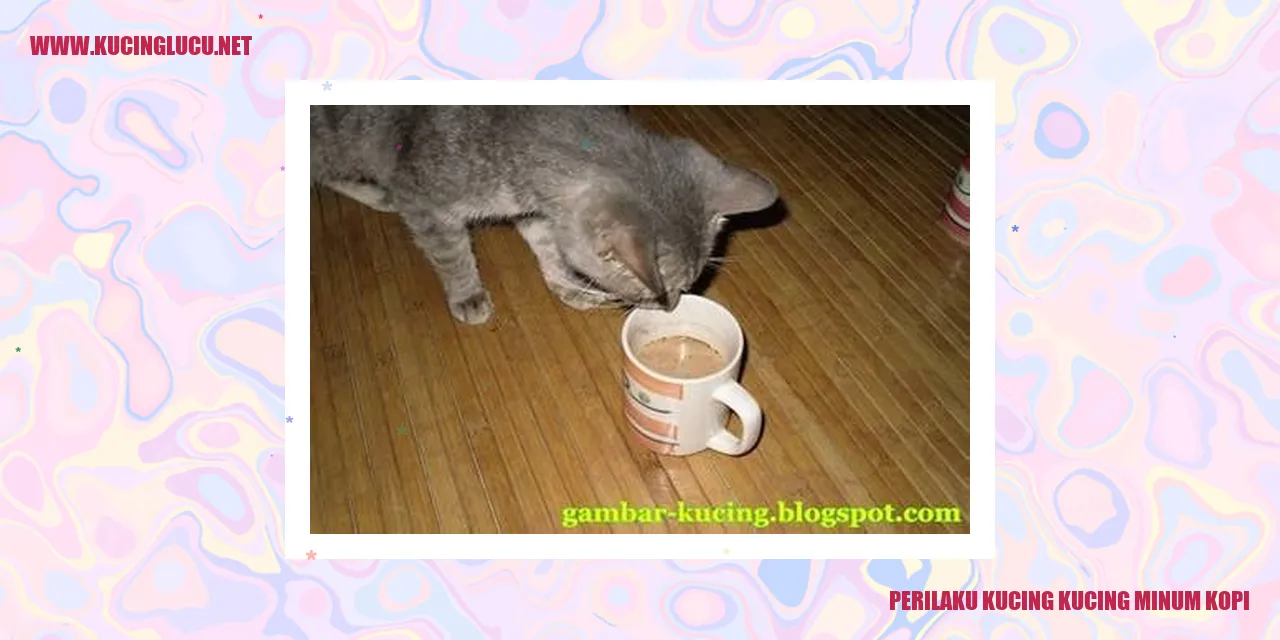 Kucing Minum Kopi