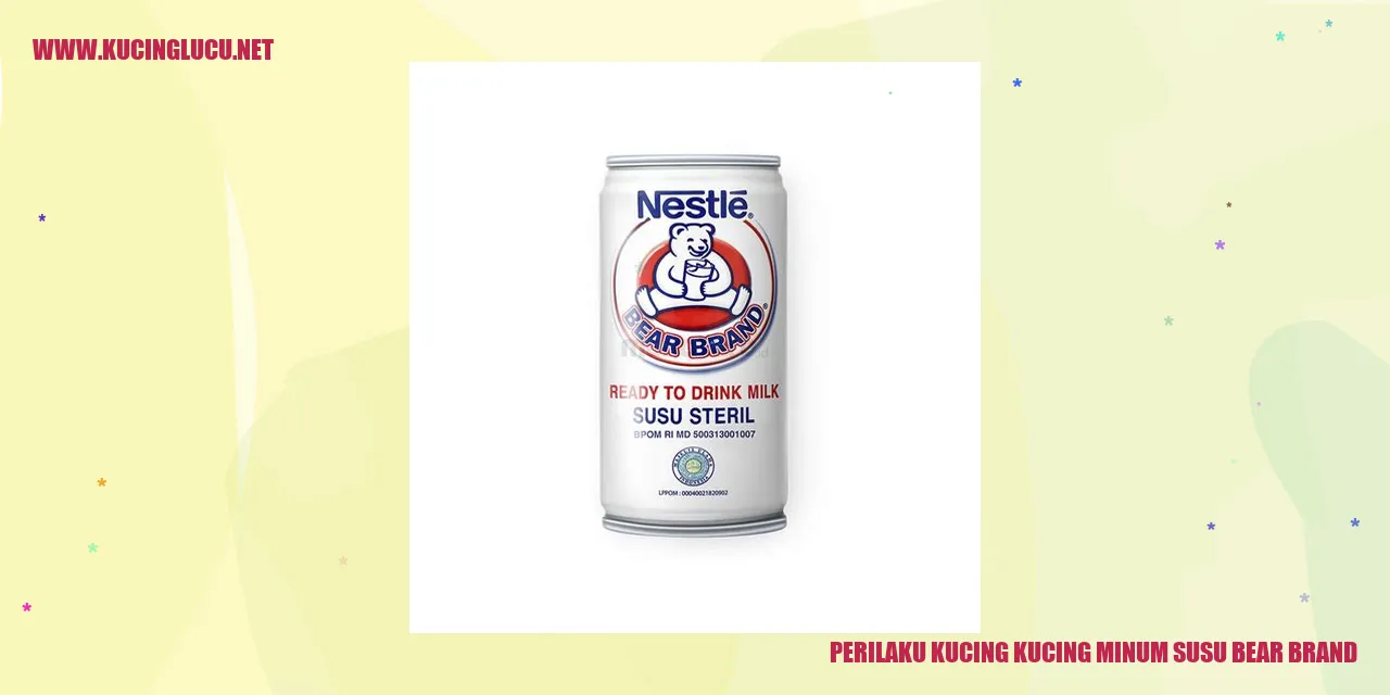 Kucing menikmati susu Bear Brand