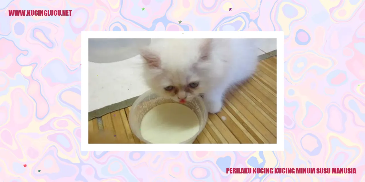 Gambar kucing menikmati susu
