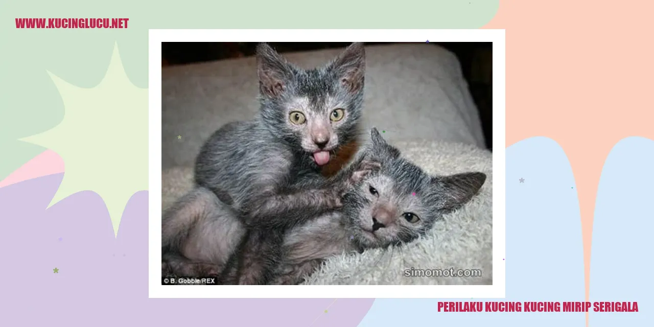 Perilaku Kucing kucing mirip serigala