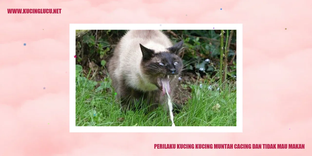 Ilustrasi Kucing