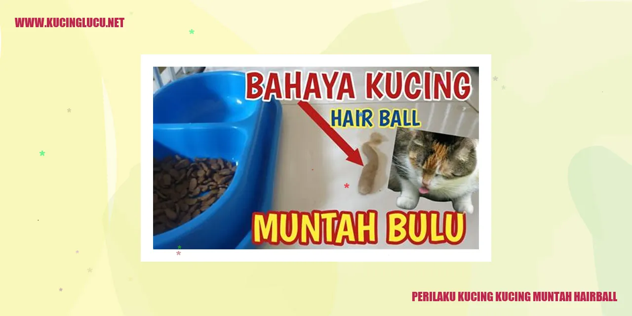 Kucing Muntah Hairball