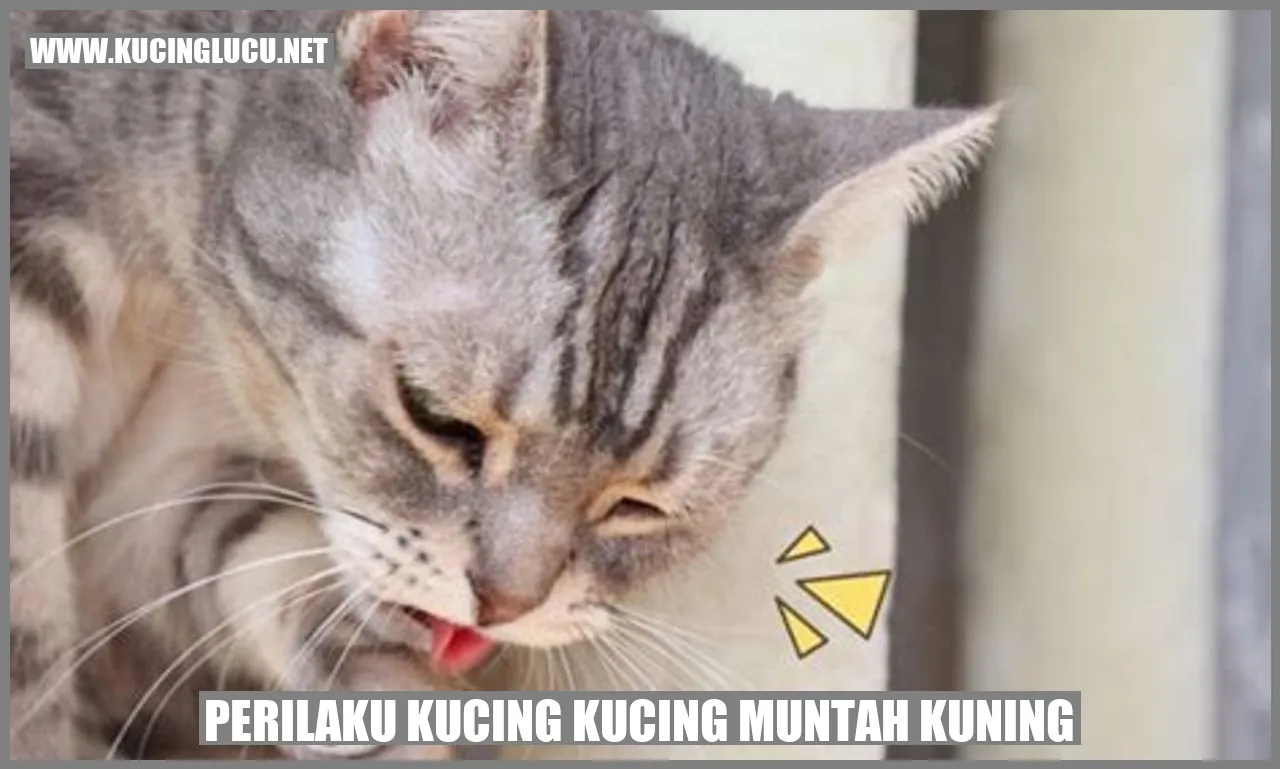 Kucing muntah kuning