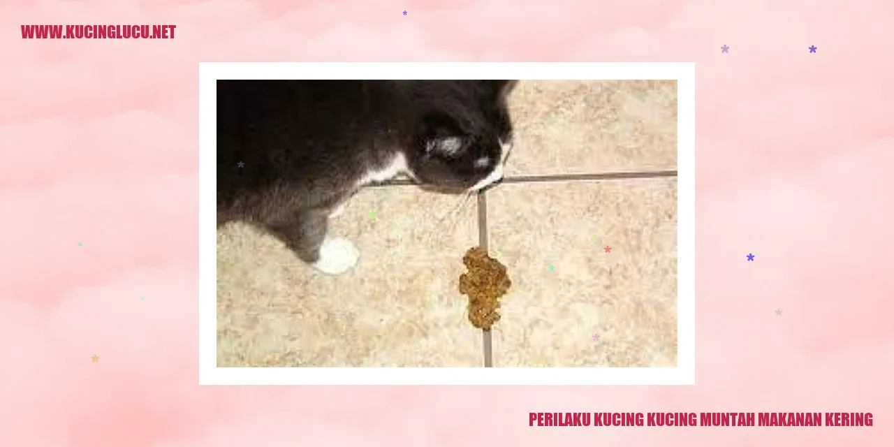 Perilaku Kucing Muntah Makanan Kering