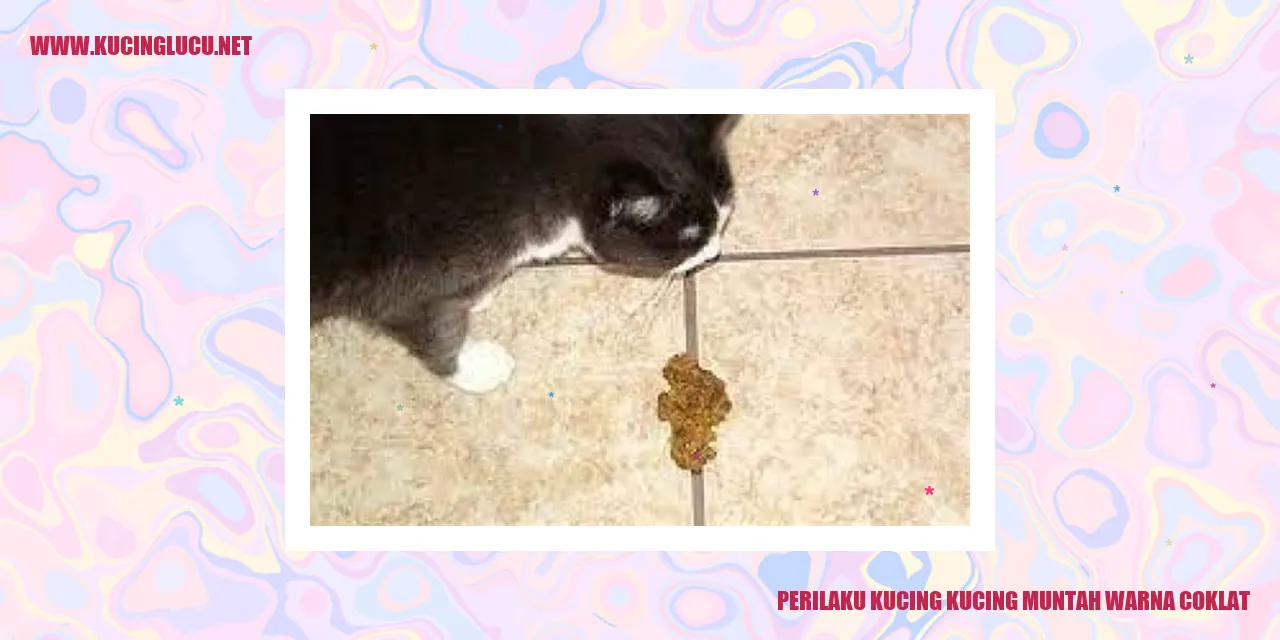 gambar perilaku kucing yang muntah warna coklat