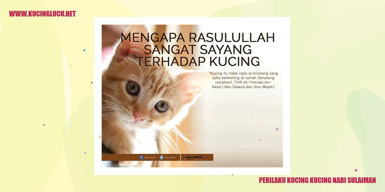 Gambar kucing-kucing Nabi Sulaiman
