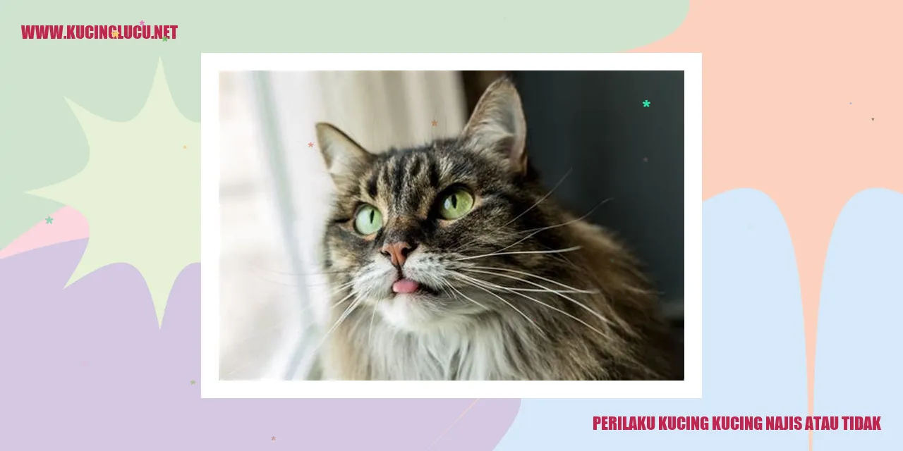 Kucing dan sikap terhadap kotoran