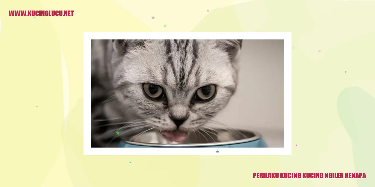 Perilaku Kucing yang Ngiler