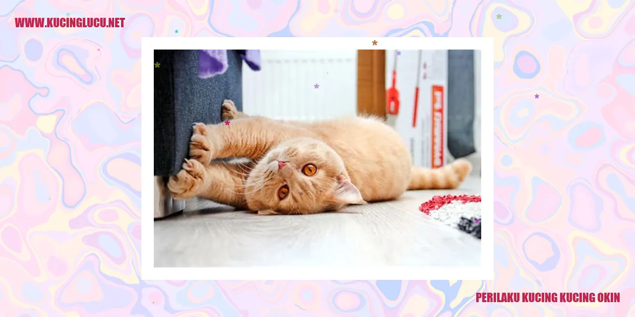 Gambar Kucing Okin