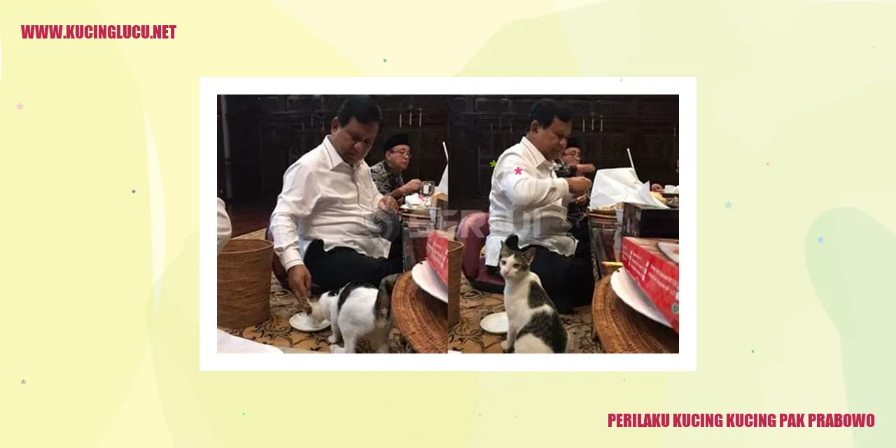 Perilaku Kucing kucing pak Prabowo