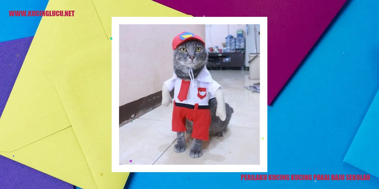 Kucing mengenakan baju sekolah