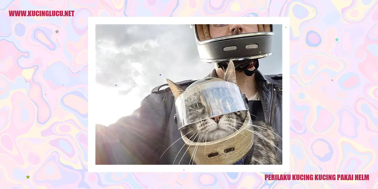 Perilaku Kucing Menggunakan Helm