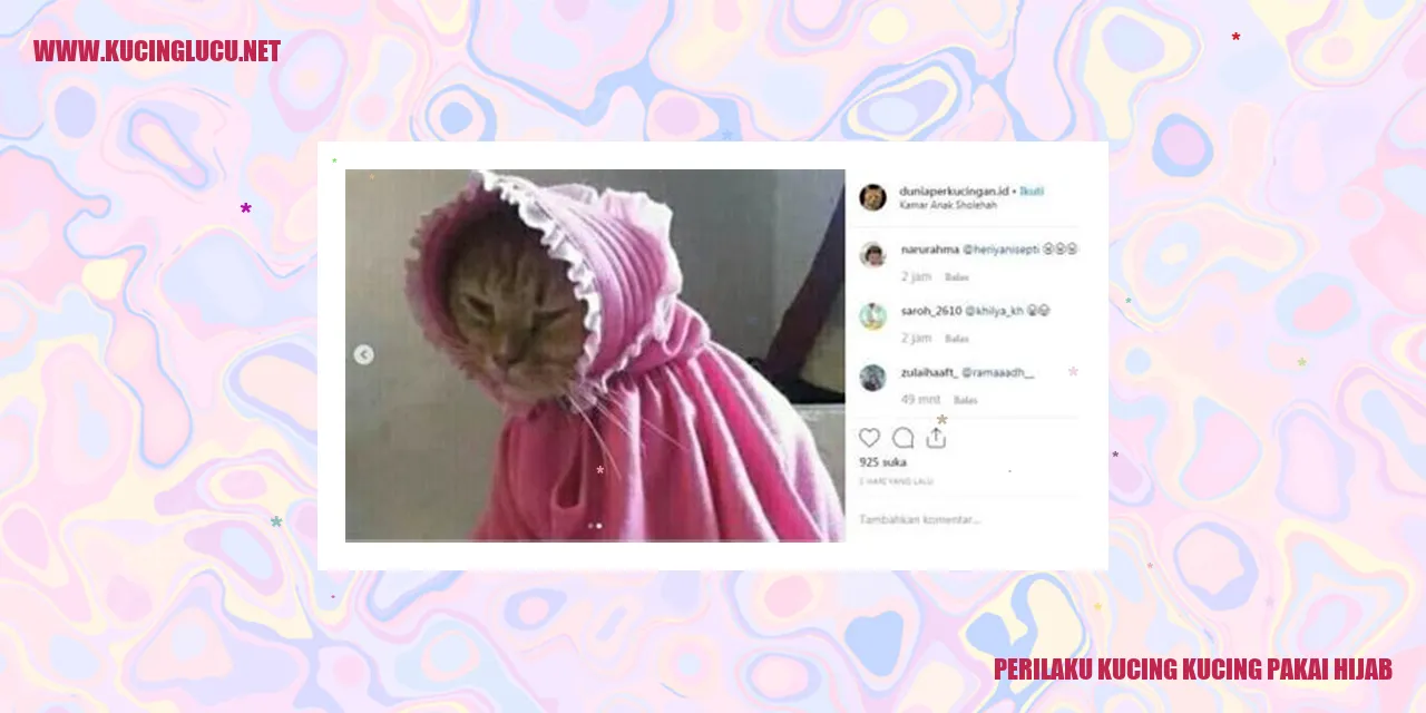 Foto Kucing Menggunakan Hijab