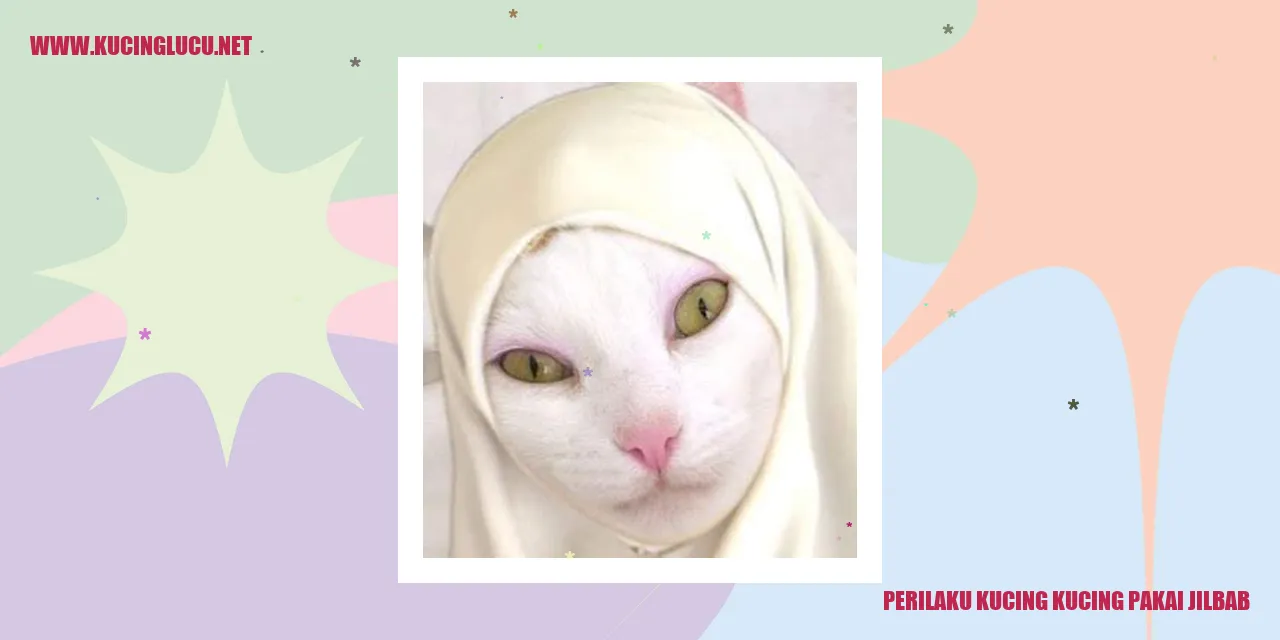 Kucing Pakai Jilbab