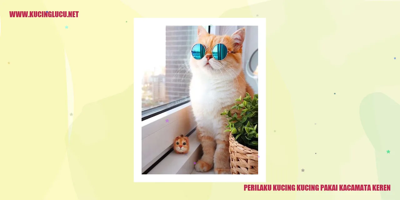 Kucing-kucing Pakai Kacamata Keren