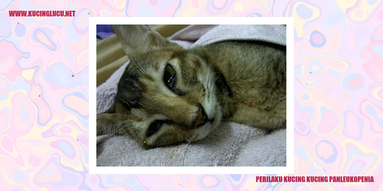 Kucing Terkena Panleukopenia
