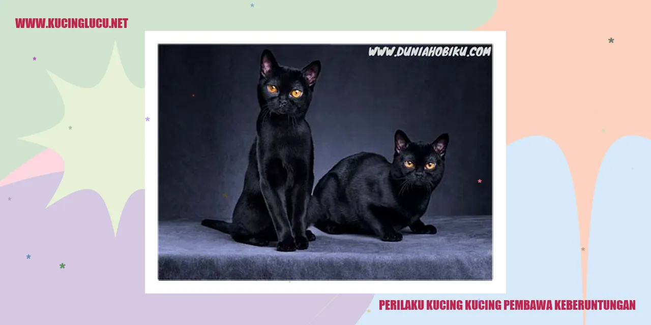 Perilaku Kucing Pembawa Keberuntungan