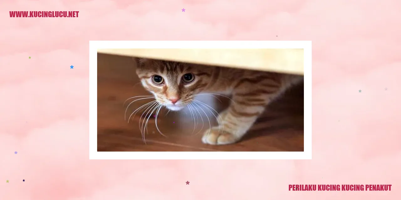 Kucing penakut