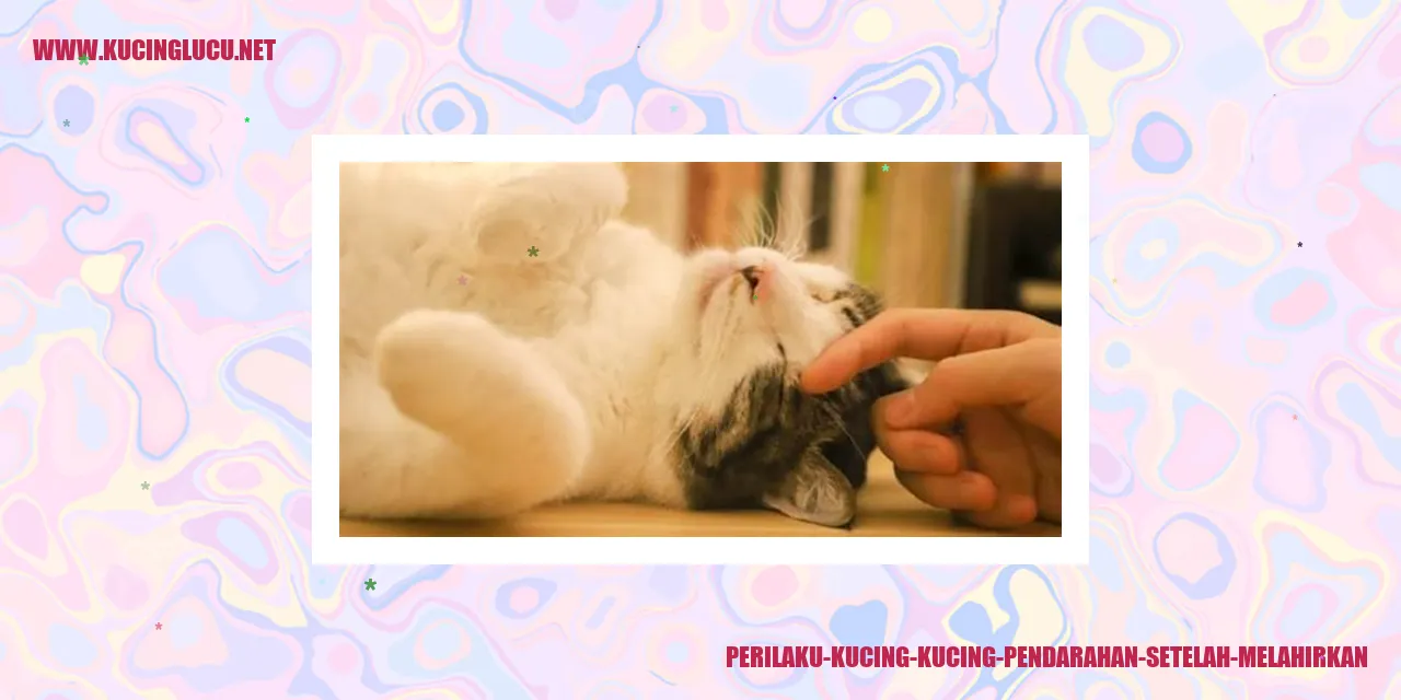 Perilaku Kucing Setelah Melahirkan
