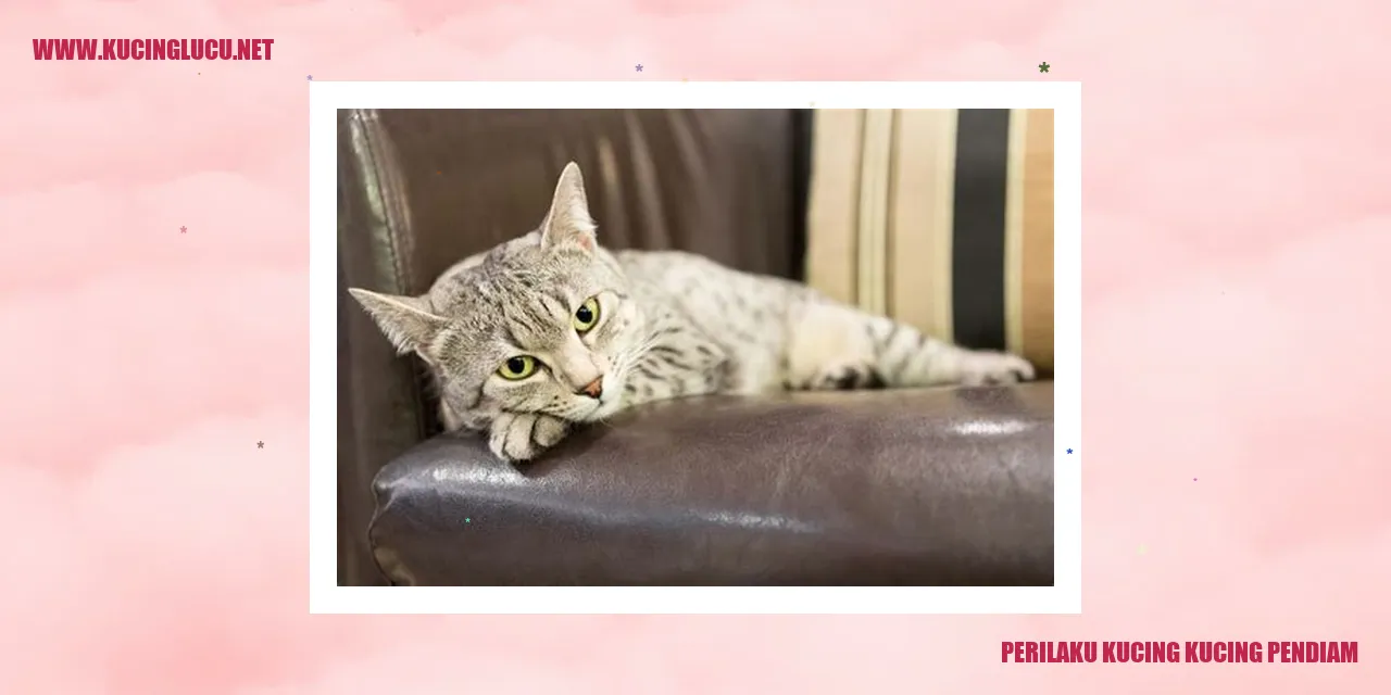 Kucing Pendiam