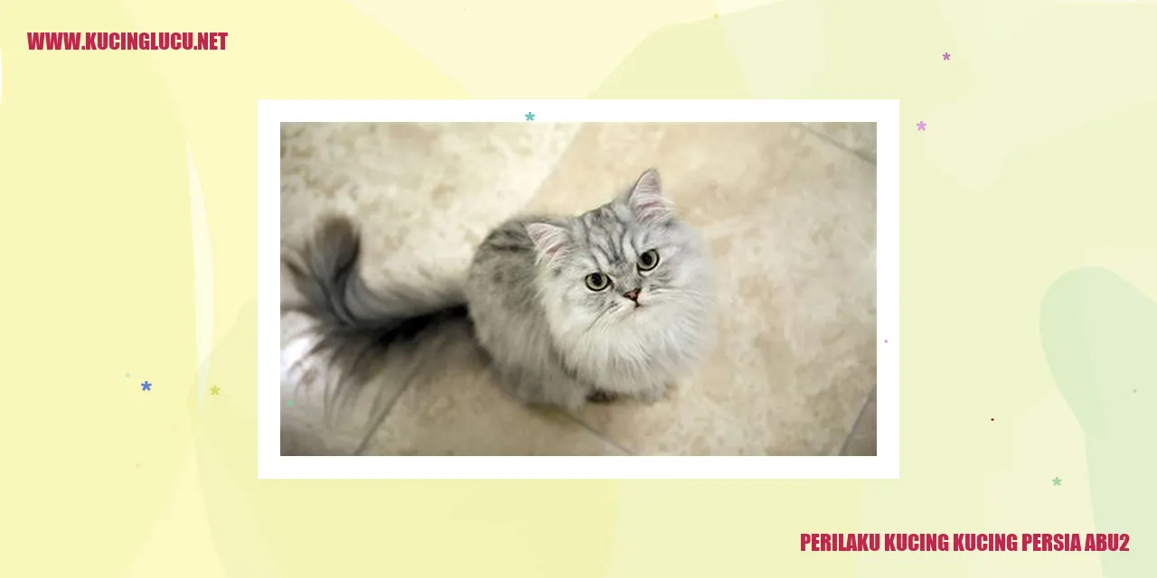 Kucing Persia Abu-Abu Menggemaskan