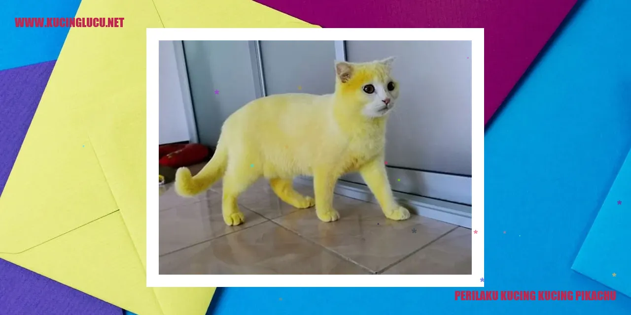 Kucing Pikachu
