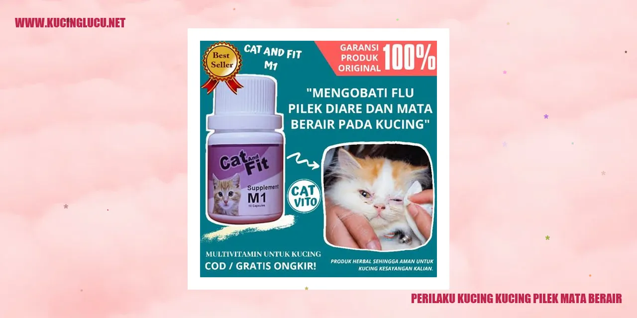 Kucing dengan mata berair