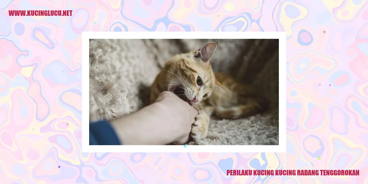 Kucing dengan Radang Tenggorokan