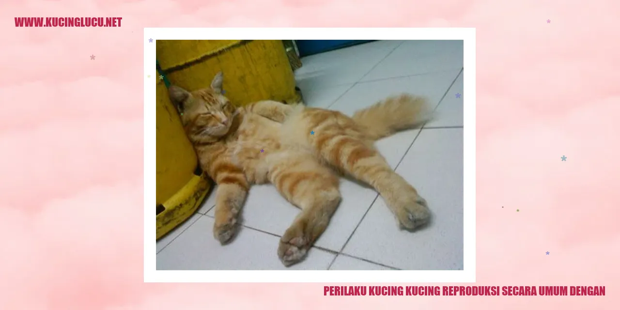 Kucing berkembangbiak