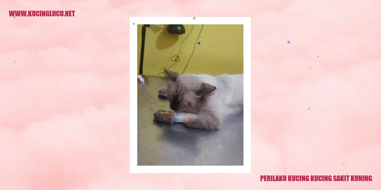 Kucing Sakit Kuning