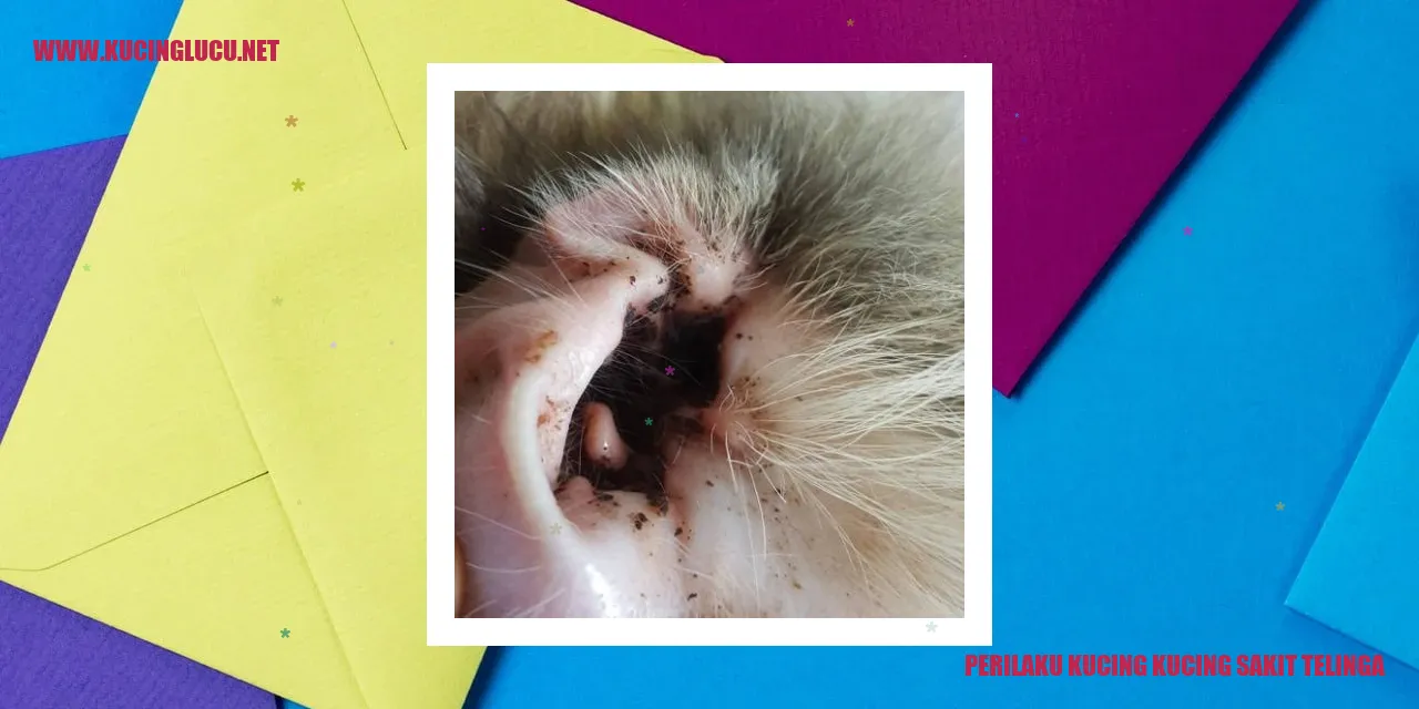 Perilaku Kucing Saat Mengalami Masalah di Telinga