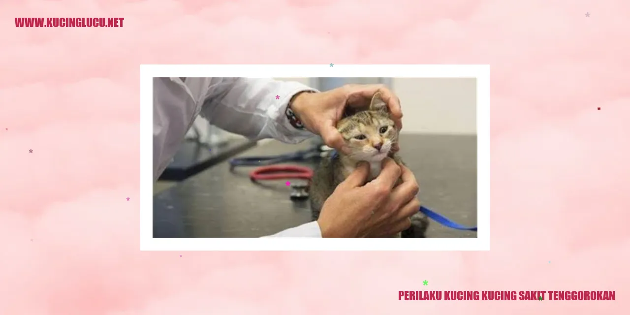 Kucing sakit tenggorokan