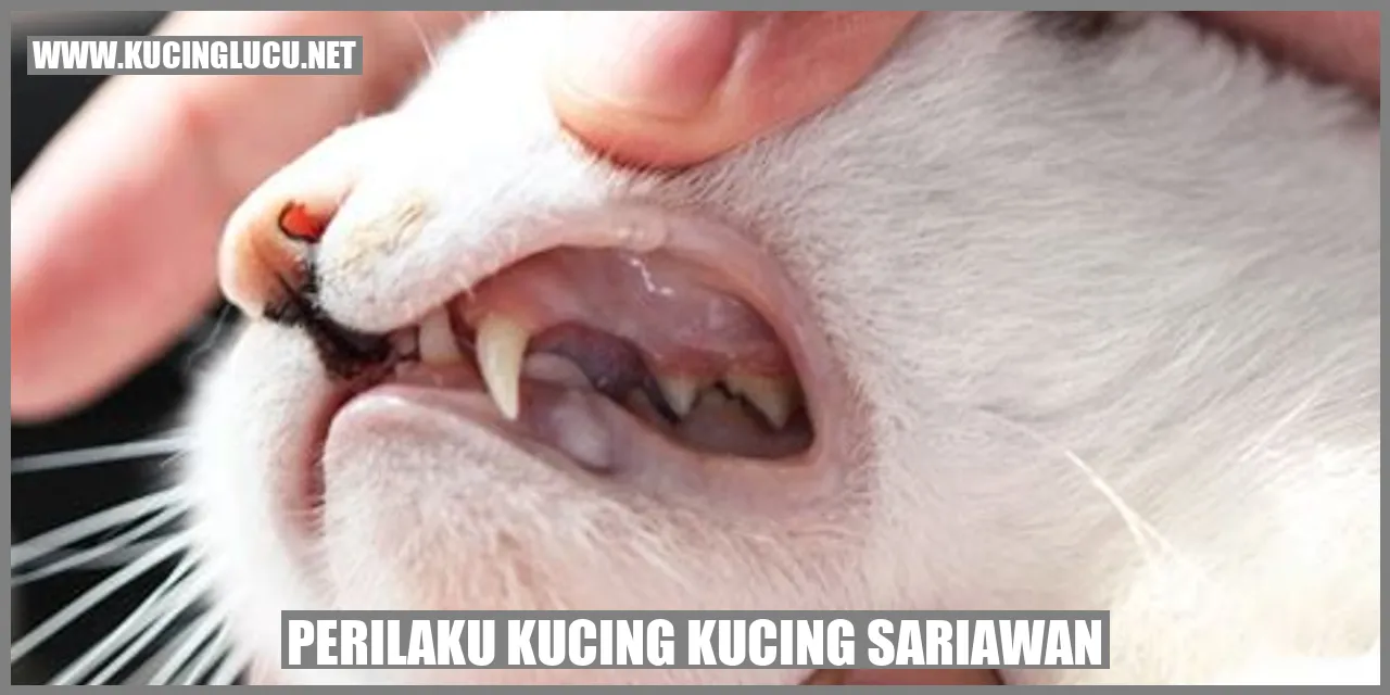 Perilaku Kucing dengan Sariawan