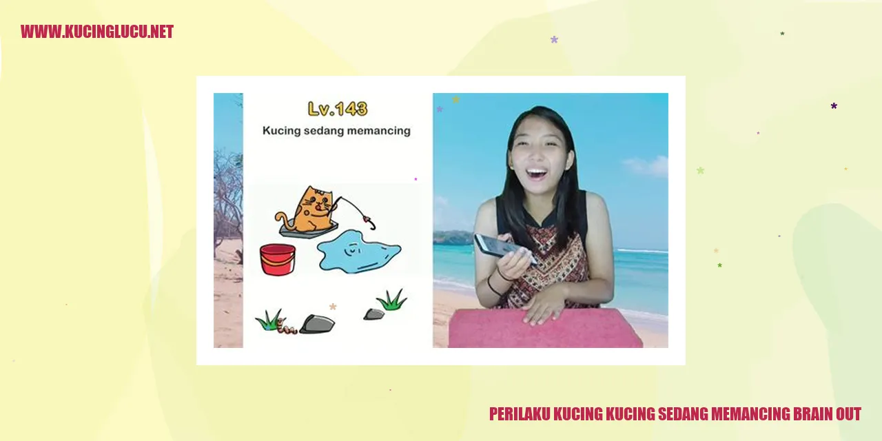 Gambar Kucing yang Asyik Memancing