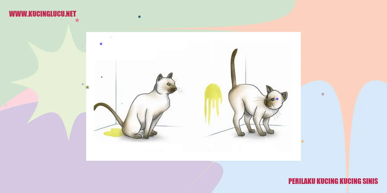 Perilaku Cermin Kucing-Kucing Sinis