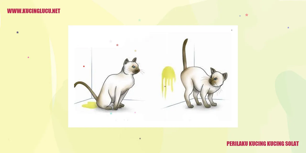 Perilaku Kucing Saat Pemiliknya Sedang Solat
