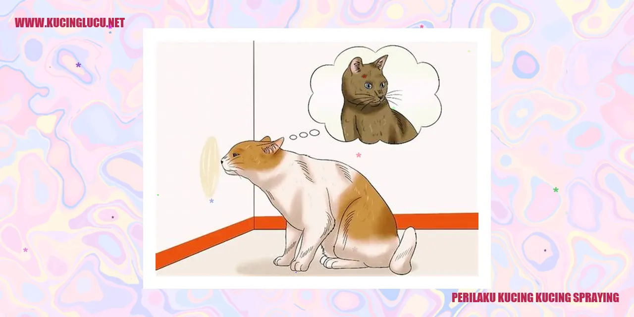 Perilaku Kucing Kucing Spraying