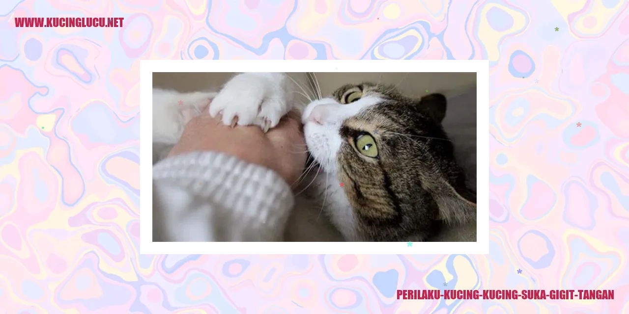 Kucing suka gigit tangan