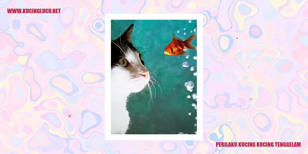 Kucing tenggelam