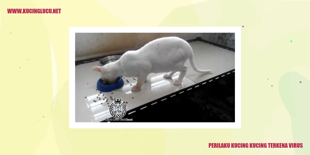 Kucing Terpapar Virus