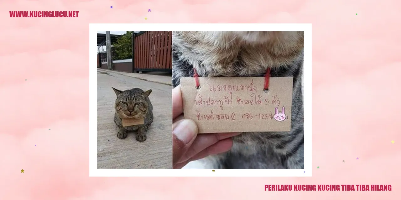 Kucing yang Tidak Terlihat