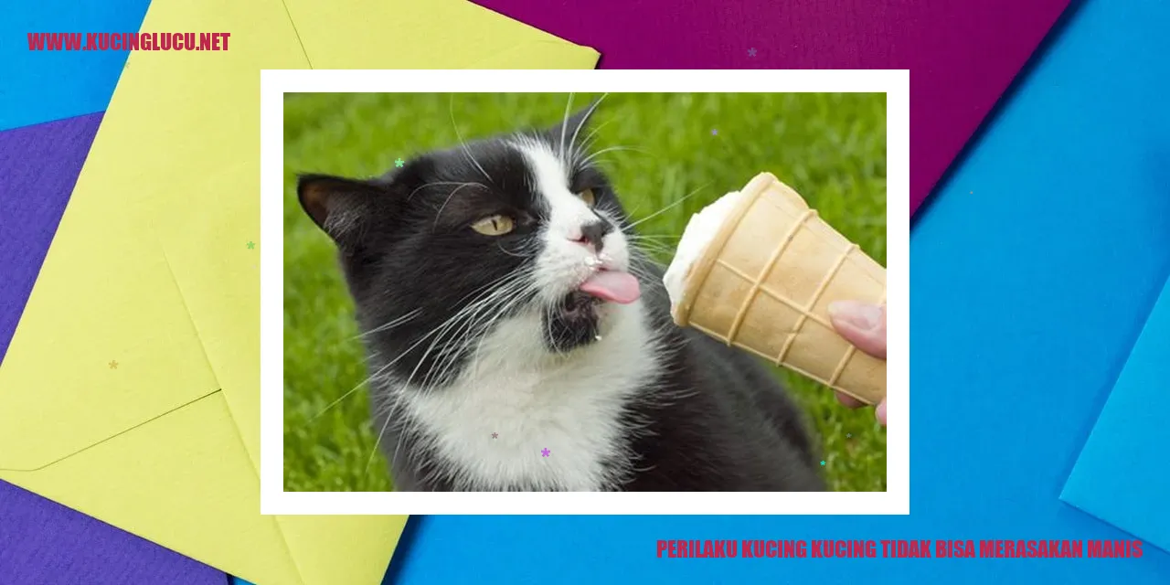 Perilaku Kucing: Tidak Bisa Merasakan Manis
