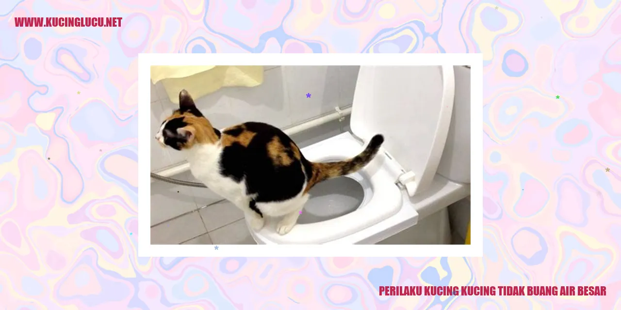 Gambar kucing bersantai